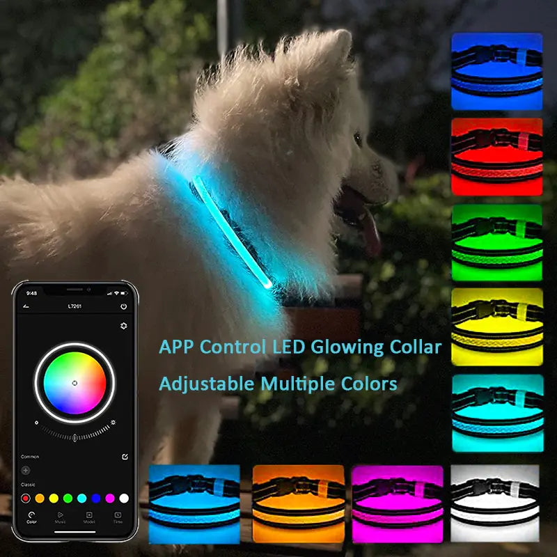 LEDvarázs RGB nyakörv kutyáknak